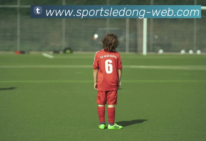 乐动体育平台生态图